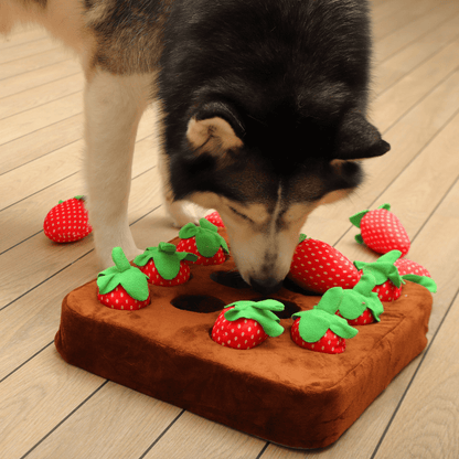Boredom-Buster Snuffle Mat Strawberries Edition
