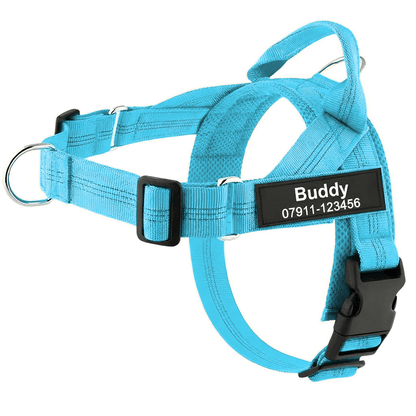 Personalized Full-Control Harness