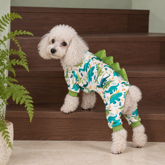 Dog wearing dinosaur pajamas at the stairs
