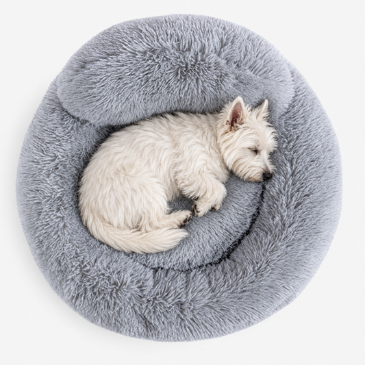 Plush dog bed with sleeping dog