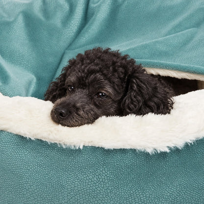 Covered pet bed lifestyle view