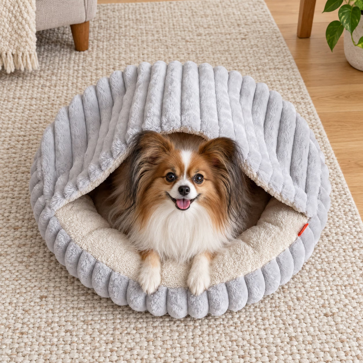 Papillon resting in a light grey hooded pet bed