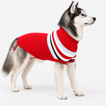 Knitted Winter Dog Jumper & Sweater with Warm Breathable Fabric