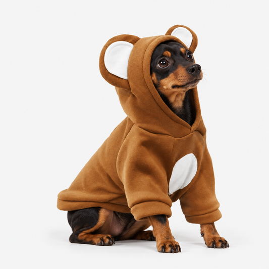 Pet wearing a brown bear-ear hoodie