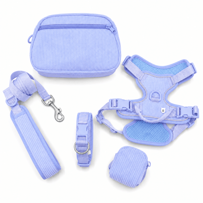 5-Piece Corduroy Dog Harness & Lead Set