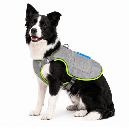 Dog Cooling Vest With Freezable Gel Packs