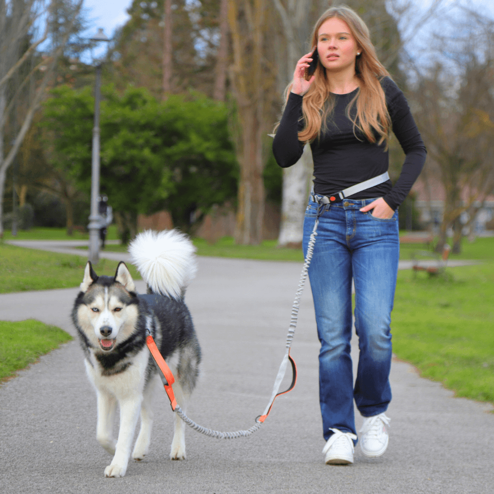 Hands-Free Waist Dog Lead
