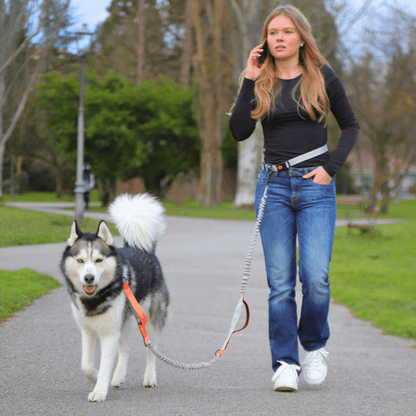 Hands-Free Waist Dog Lead