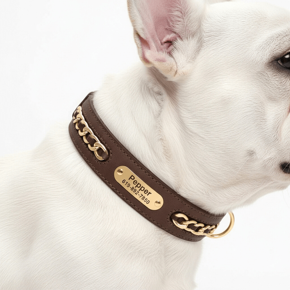 Premium Leather Custom Nameplate Collar