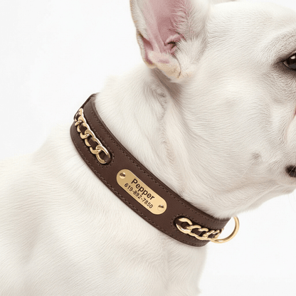 Premium Leather Custom Nameplate Collar