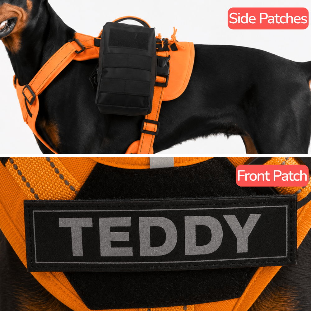 No-Pull Tactical Dog Harness