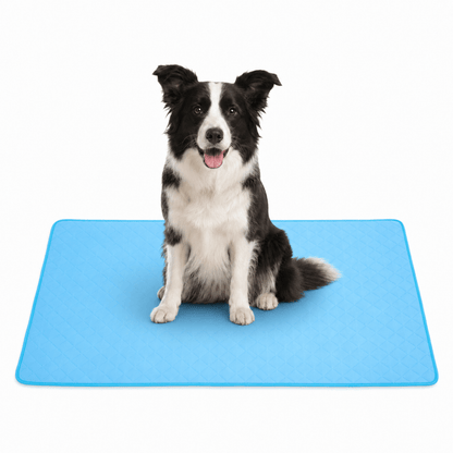 4-Layer Dog Cooling Mat
