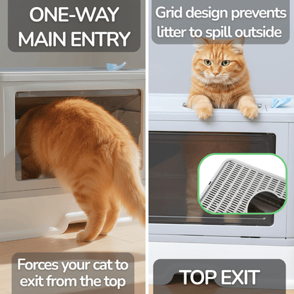 Dual-Entry Cat Litter Box