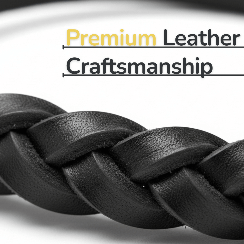 Classic Braided Leather Dog Lead