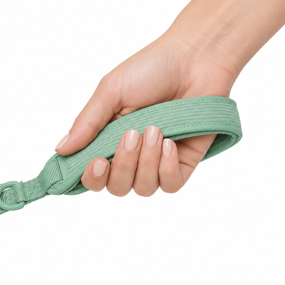 120 cm Corduroy Dog Lead