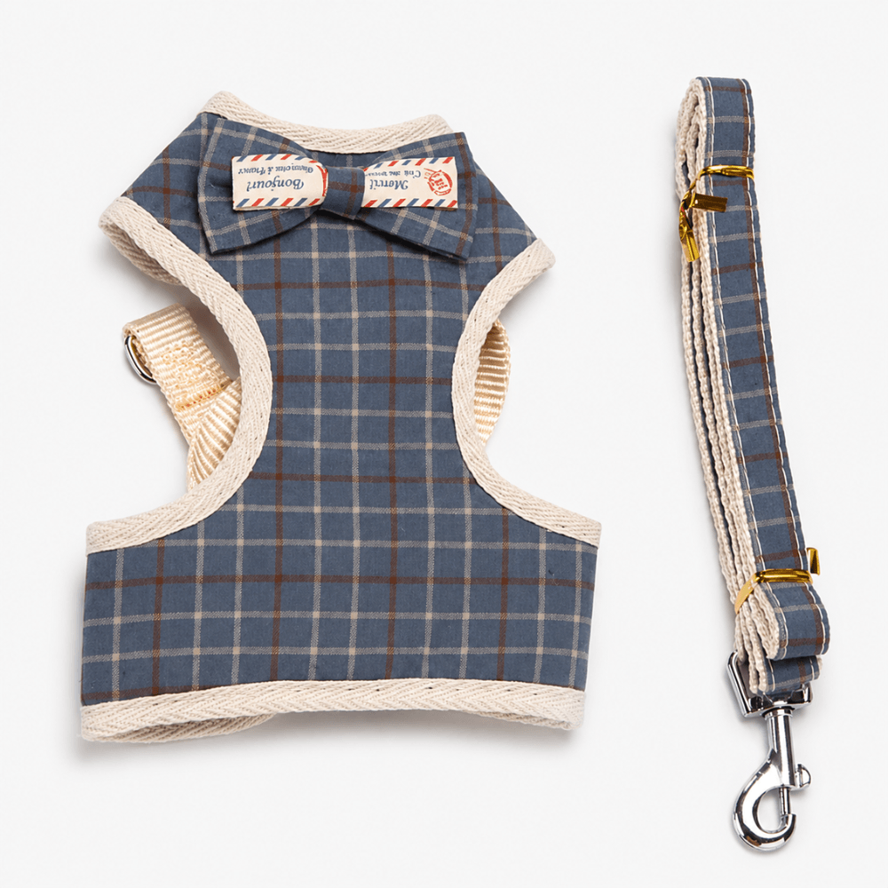 Small Bow Tie Pet Harness & Lead Set