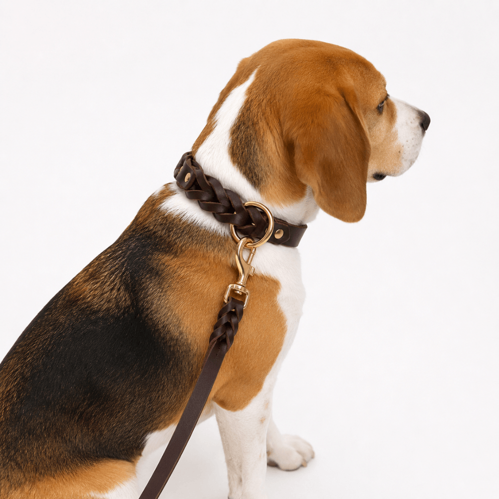 Genuine Leather Dog Collar & Lead Set