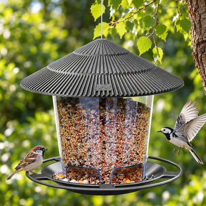 Hanging Plastic Bird Feeder with Clear Seed Compartment, Drainage & Twist-Lock Lid