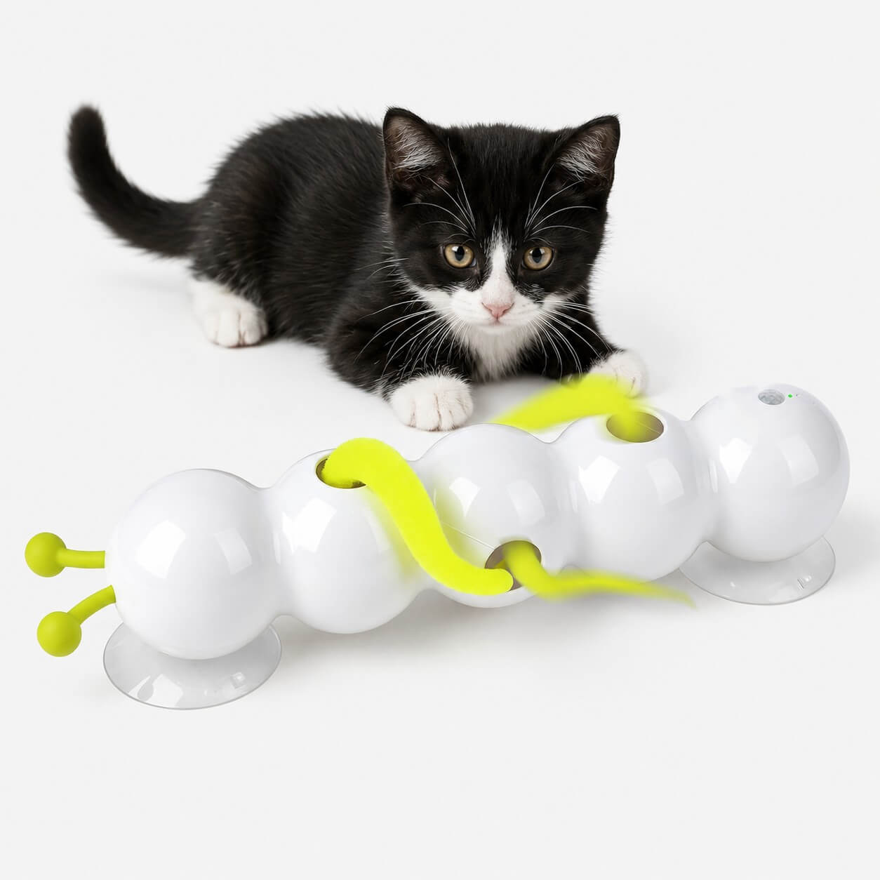 Cat Fun & Automatic Caterpillar Interactive Toy for Indoor Self-Play