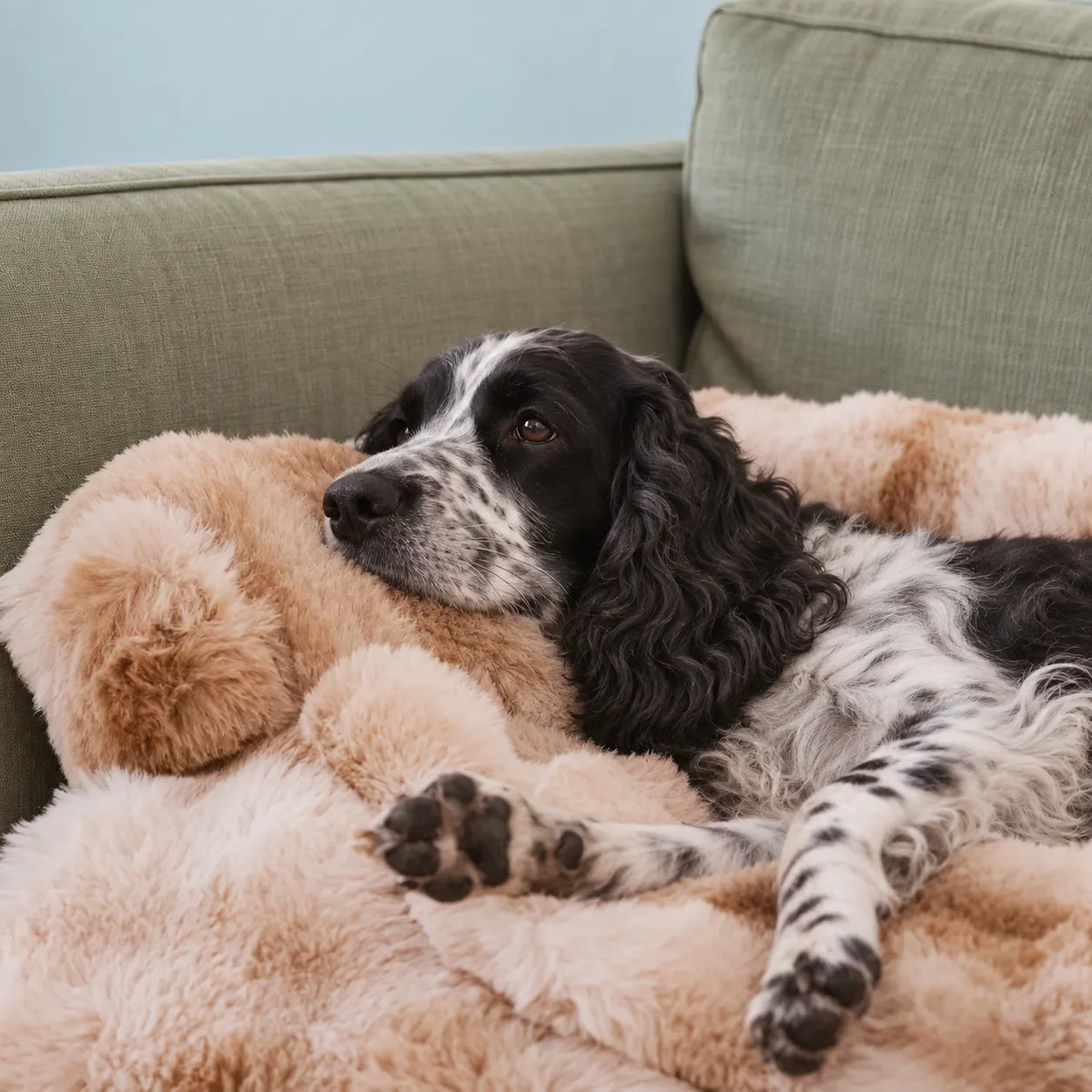 Fluffy and Calming Dog Sofa Bed & Bolster Cover