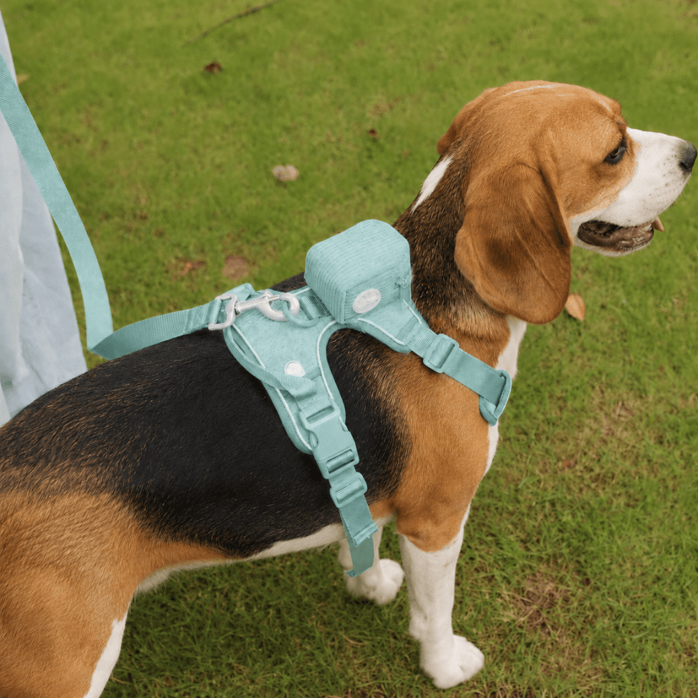 Corduroy Dog Poop Bag Dispenser