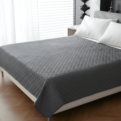 Furniture Guardian Blanket Cover