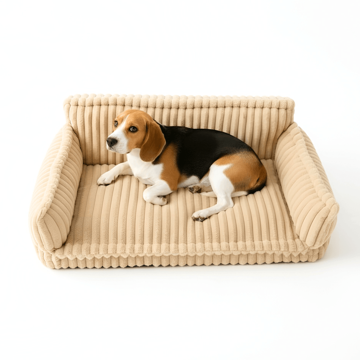 Luxurious Relaxation Sofa Bed