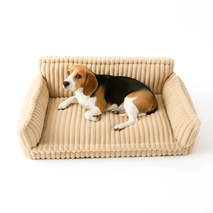 Luxurious Relaxation Sofa Bed