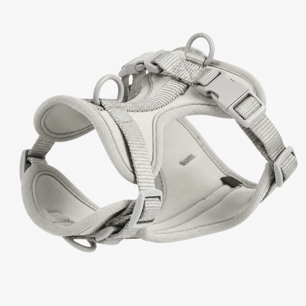 #D9D9D9