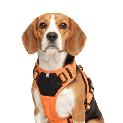 No-Pull Tactical Dog Harness