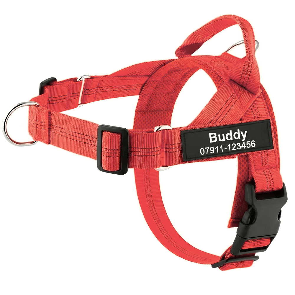 Personalized Full-Control Harness