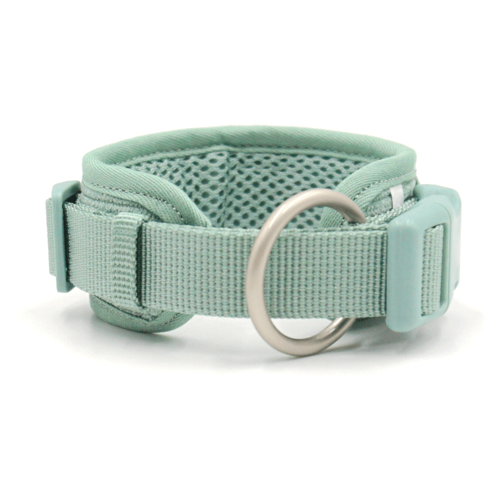 Corduroy Dog Collar