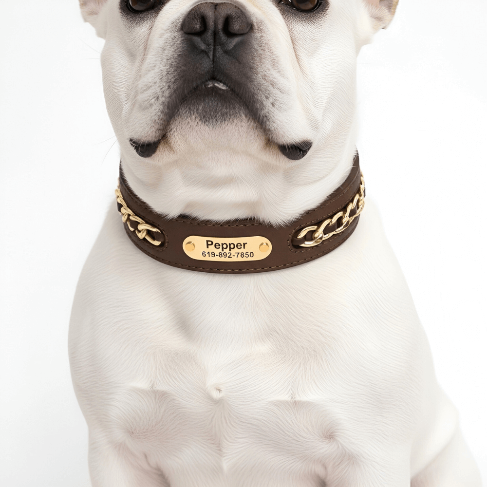 Premium Leather Custom Nameplate Collar