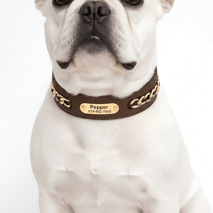 Premium Leather Custom Nameplate Collar
