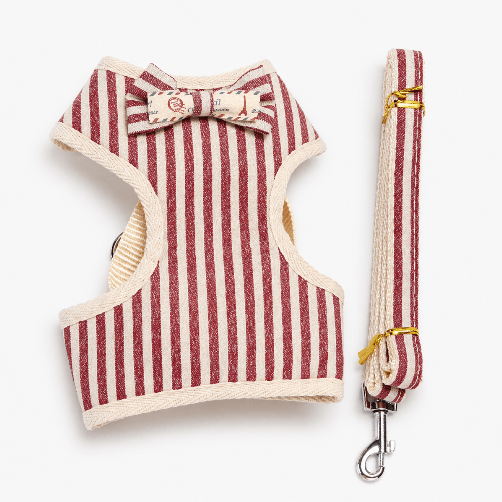 Small Bow Tie Pet Harness & Lead Set
