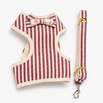 Small Bow Tie Pet Harness & Lead Set
