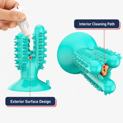Dog Rubber Dental Chew Toy for Teeth Cleaning