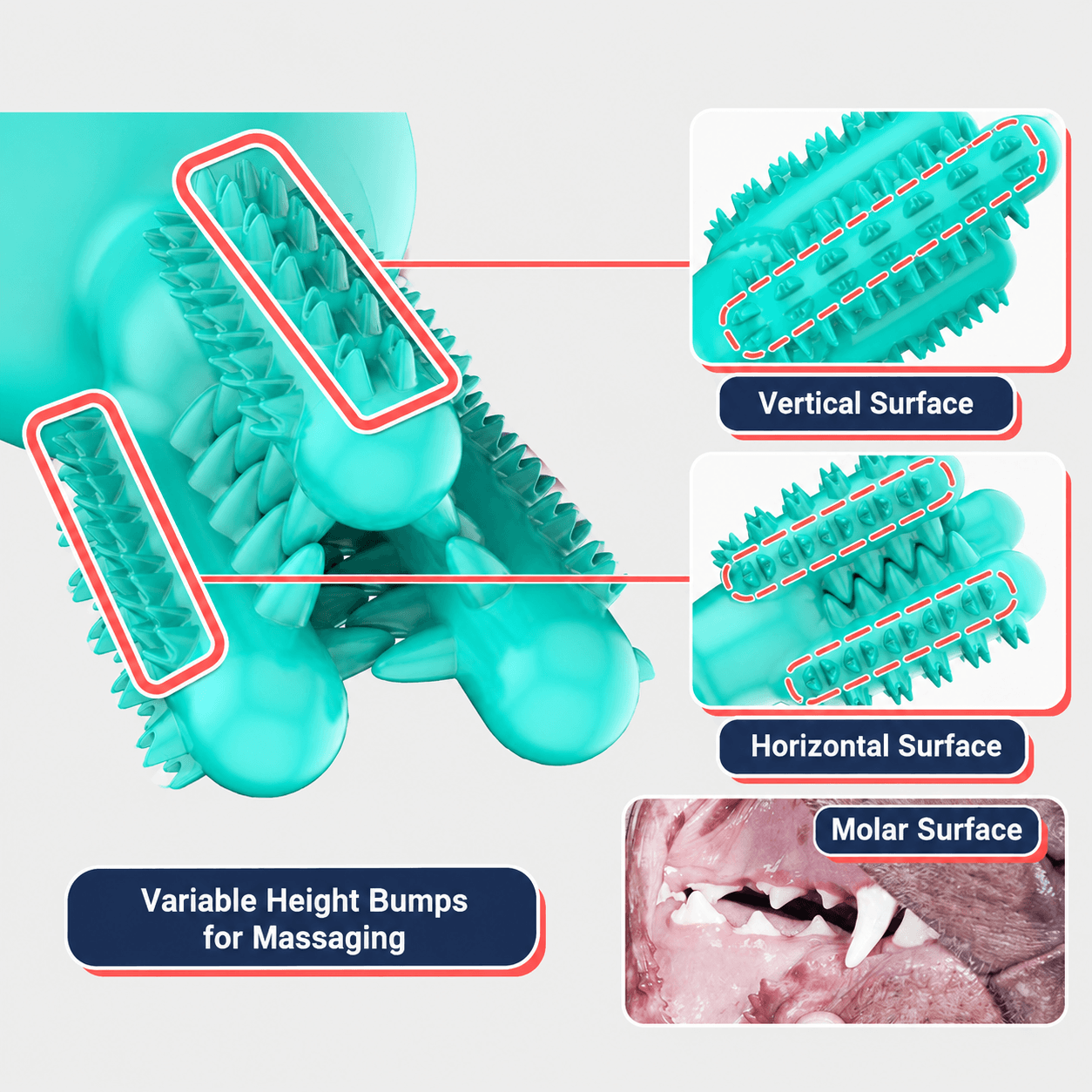 Dog Rubber Dental Chew Toy for Teeth Cleaning