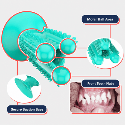 Dog Rubber Dental Chew Toy for Teeth Cleaning