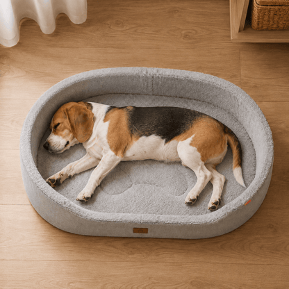 Orthopaedic Waterproof Dog Bed with Bolster Edges