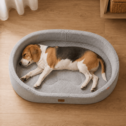 Orthopaedic Waterproof Dog Bed with Bolster Edges
