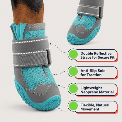 Dog Boots & Shoes Protectors for Winter Walks, Snow and Hiking