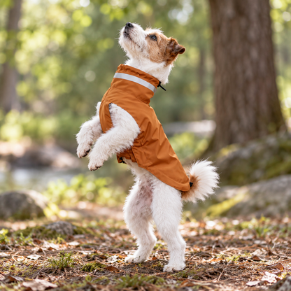Waterproof Adjustable Reflective Lightweight Sleeveless Dog Raincoat Jacket Vest with Hook and Loop & Lead Opening