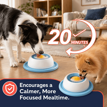 Slow Feeding Interactive Dog Lick Toy