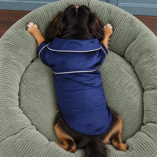 Dog wearing a satin pajama shirt