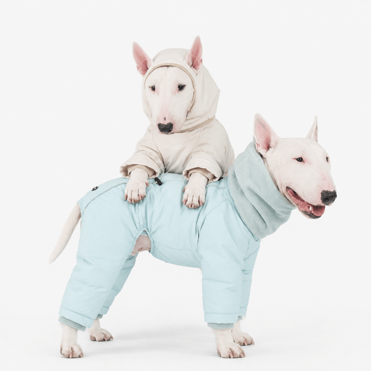 Super Warm Reflective Dog Puffer Jacket & Coat for Winter Walks