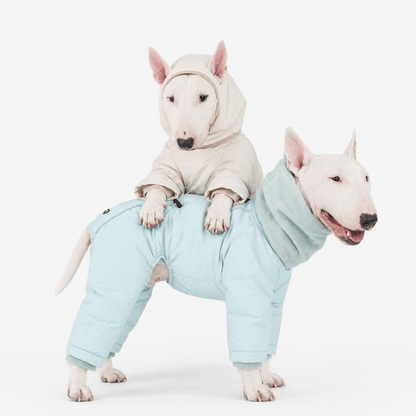 Super Warm Reflective Dog Puffer Jacket & Coat for Winter Walks