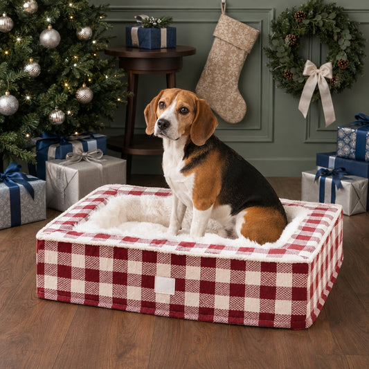 Dog resting in a tartan bolster bed