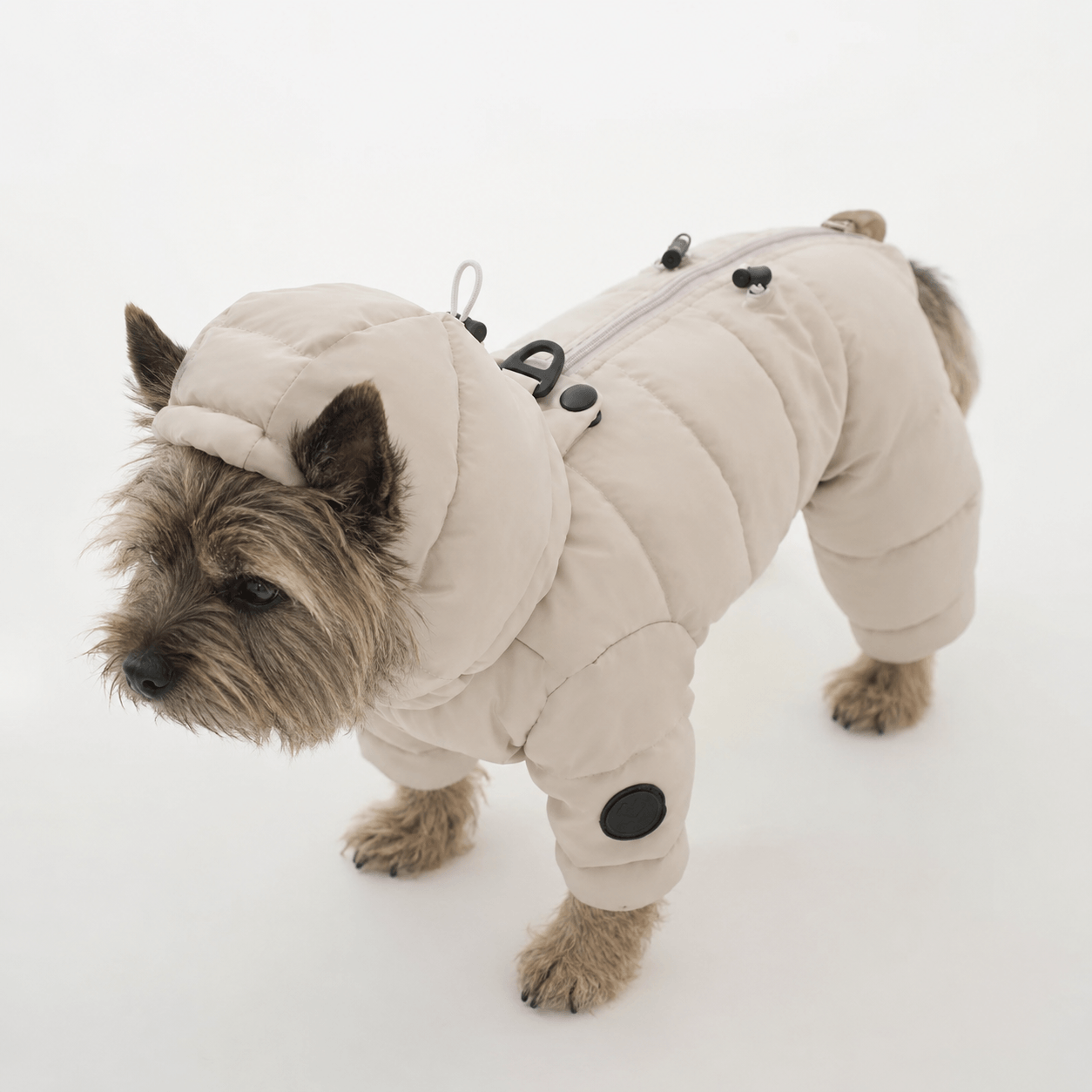 Warm Waterproof Small Dog Raincoat & Puffer Jacket with Hood for Winter Walks