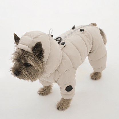 Warm Waterproof Small Dog Raincoat & Puffer Jacket with Hood for Winter Walks